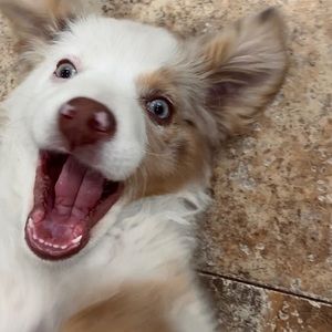 Meet your Posher, Arianna